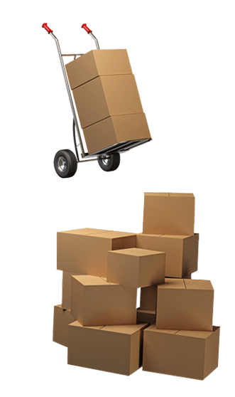 Best Packers and Movers in Delhi